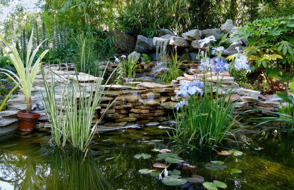 8 ambiances de jardins