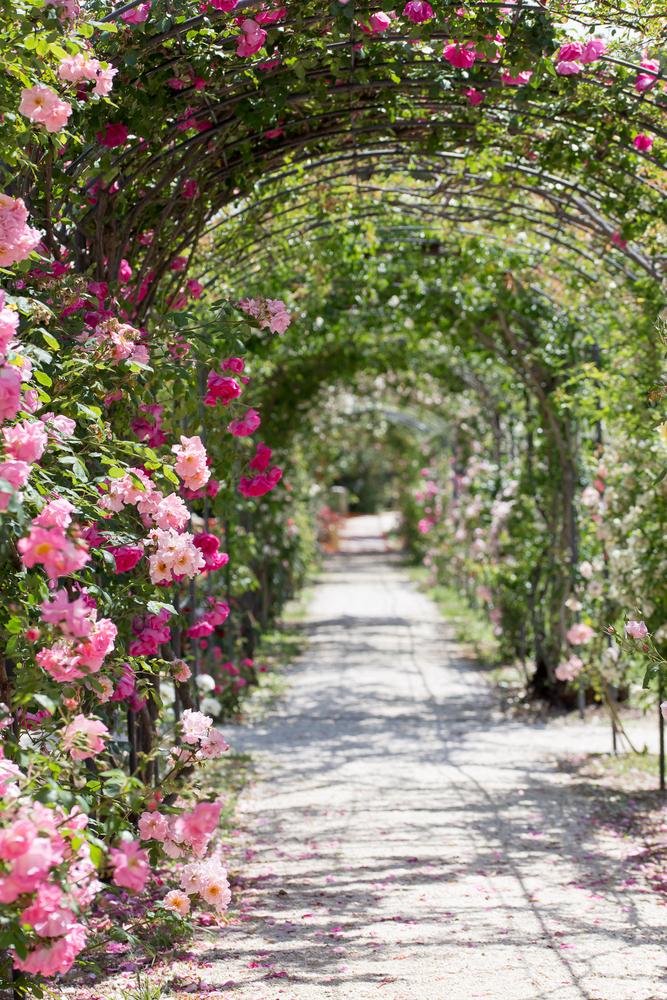 8 ambiances de jardins