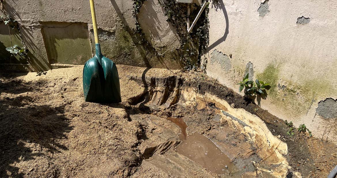 Rognage de souche Paysagiste Toulouse Lèzat-sur-Lèze Muret