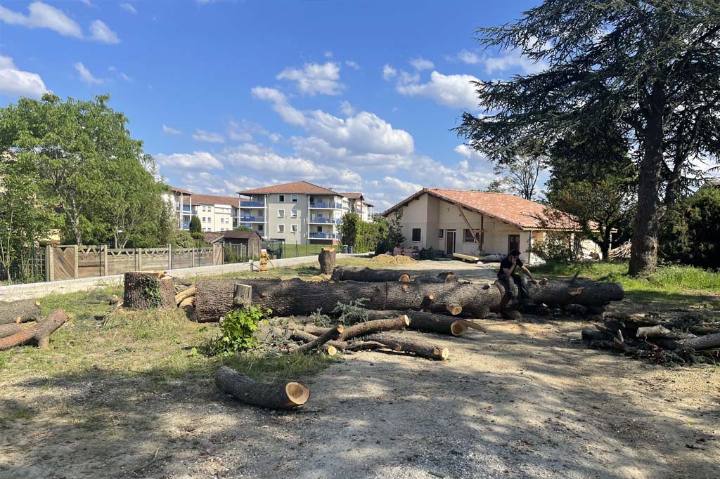 Abattage arbre Paysagiste Ariège Toulouse Lèzat-sur-Lèze
