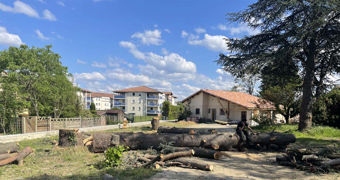 Abattage arbre Paysagiste Ariège Toulouse Lèzat-sur-Lèze