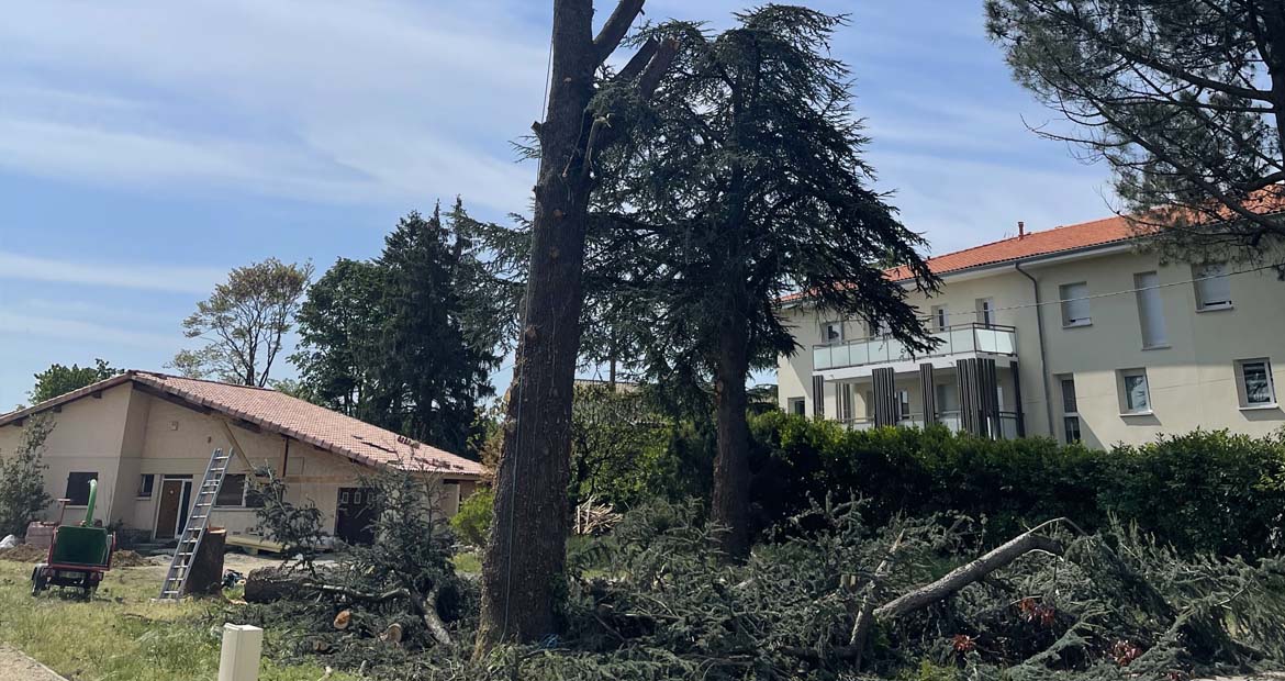 Abattage arbre Paysagiste Ariège Toulouse Lèzat-sur-Lèze