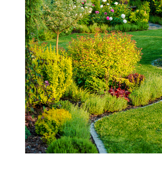 Réalisation de jardin en ariège