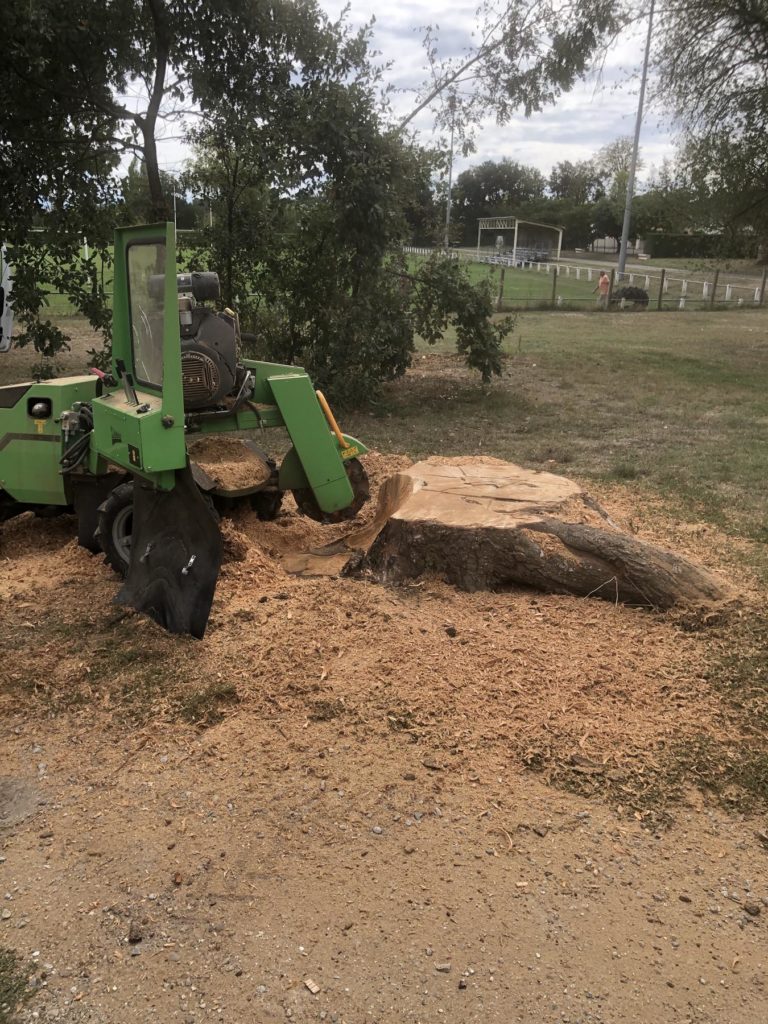 Rognage souche arbre coupé jardinier Ariège Lézat-sur-Lèze